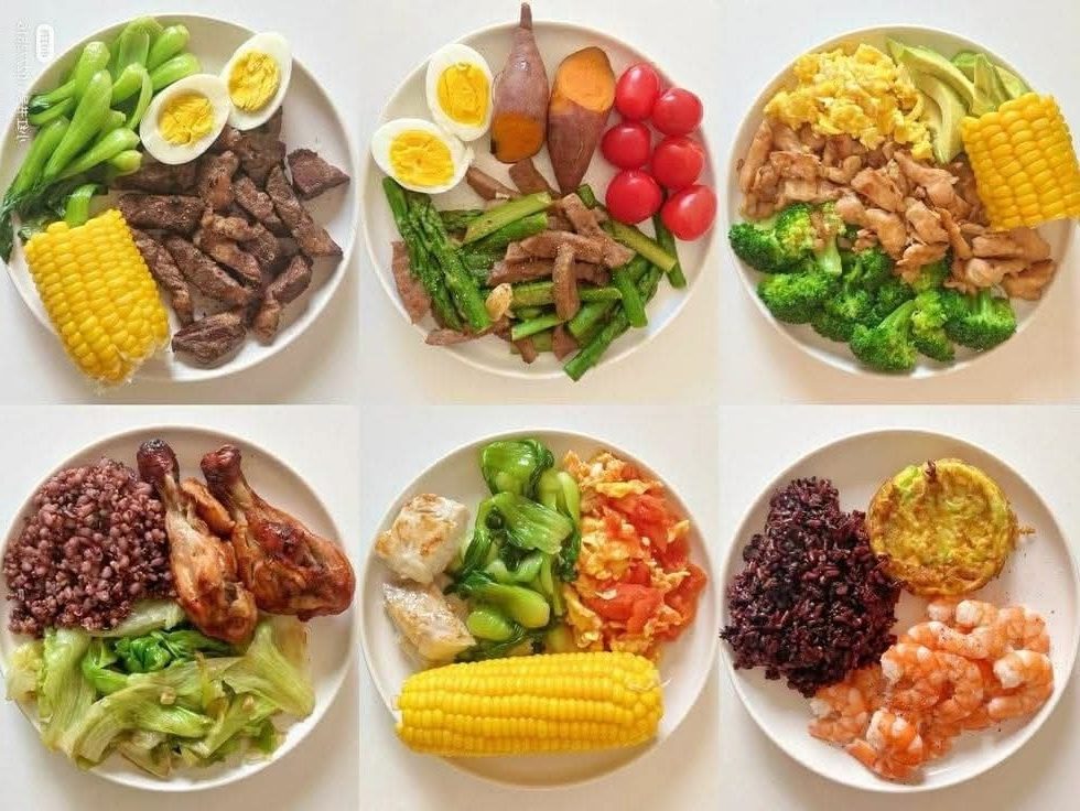 Menu Sehat: Panduan Pola Makan Bergizi Seimbang untuk Kesehatan Optimal